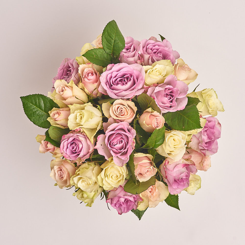 Box 31 Rose mix Athena and Memorial