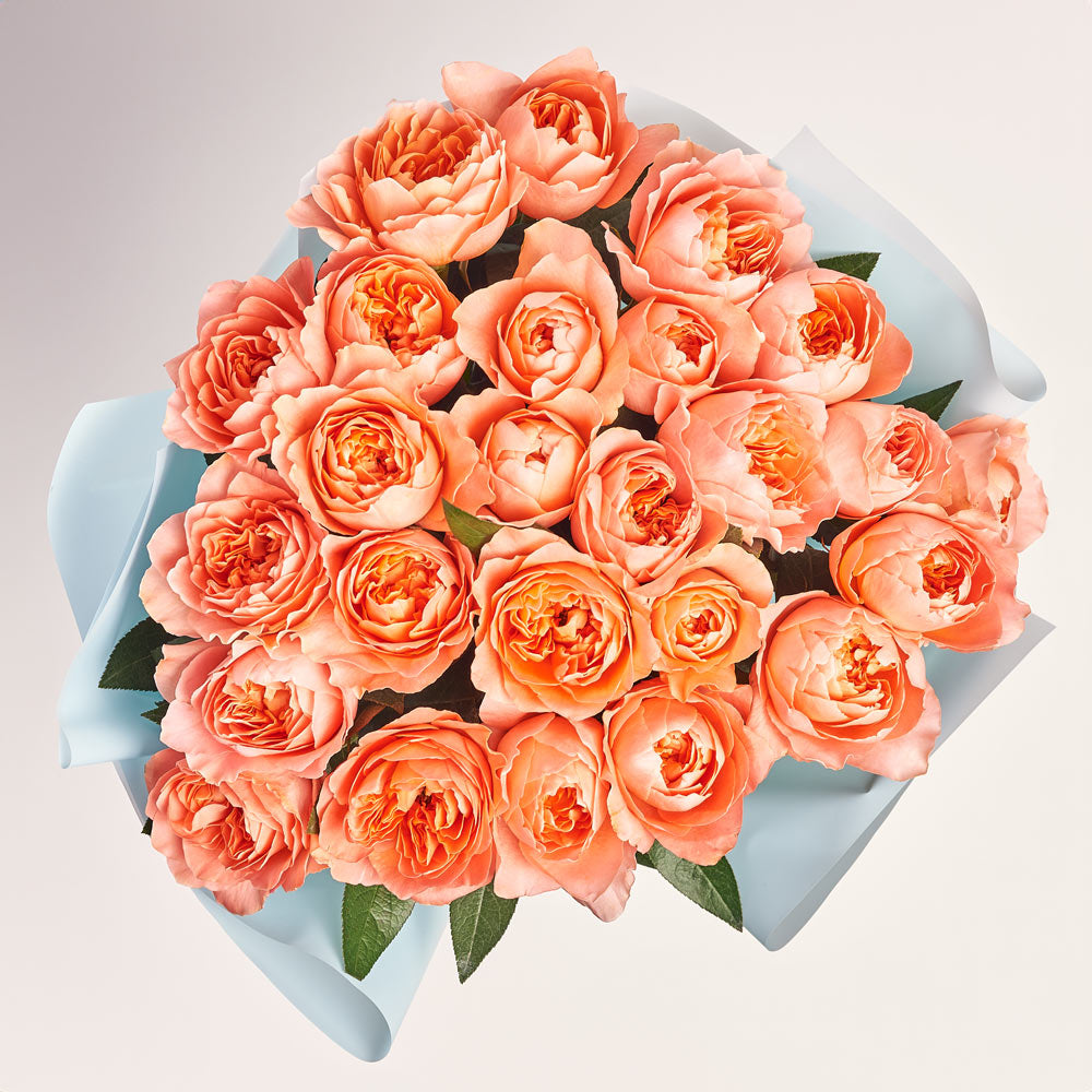 Bouquet of 25 pink pioneer roses