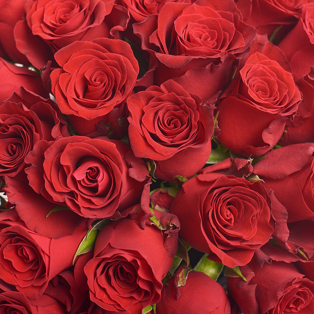 Box of 31 Rhodes Trojans