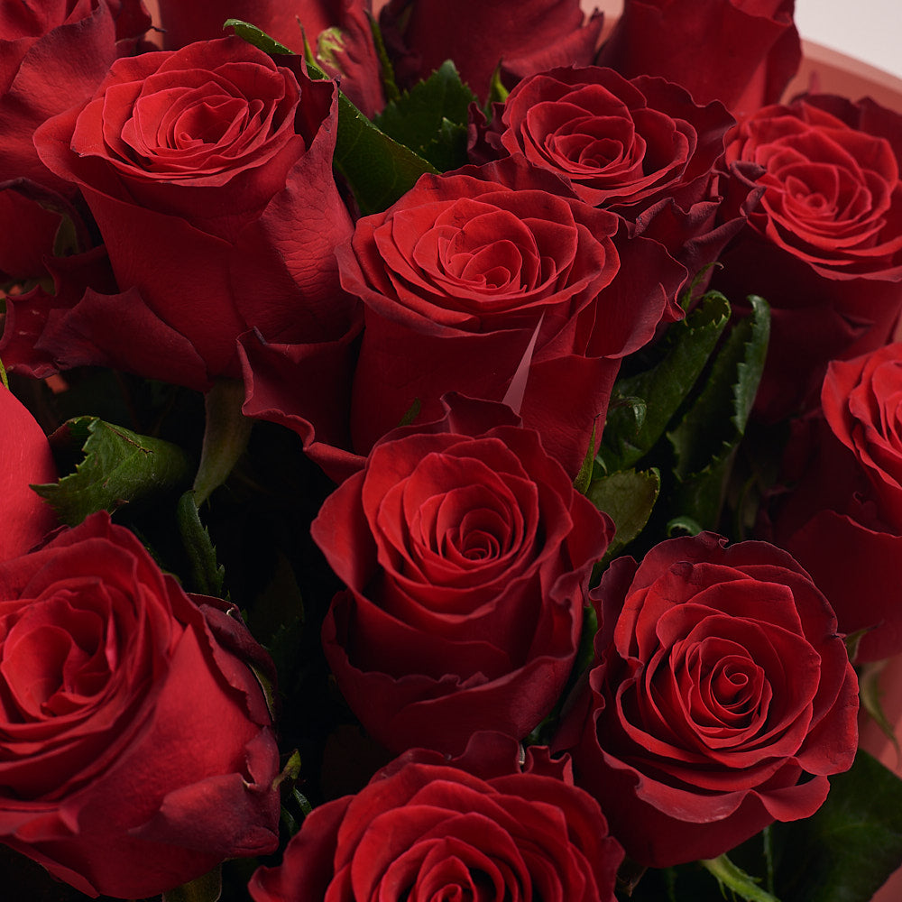 Bouquet of 15 Red roses Rhodes