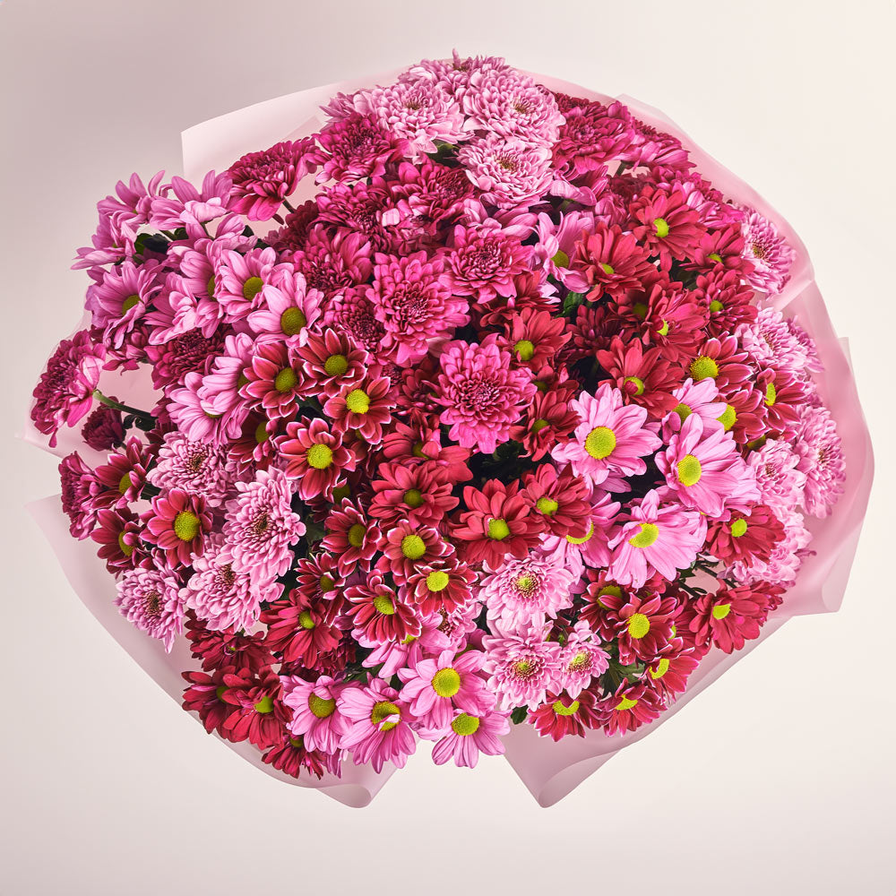 Bouquet 25 Pink Chrysanthemum Mix
