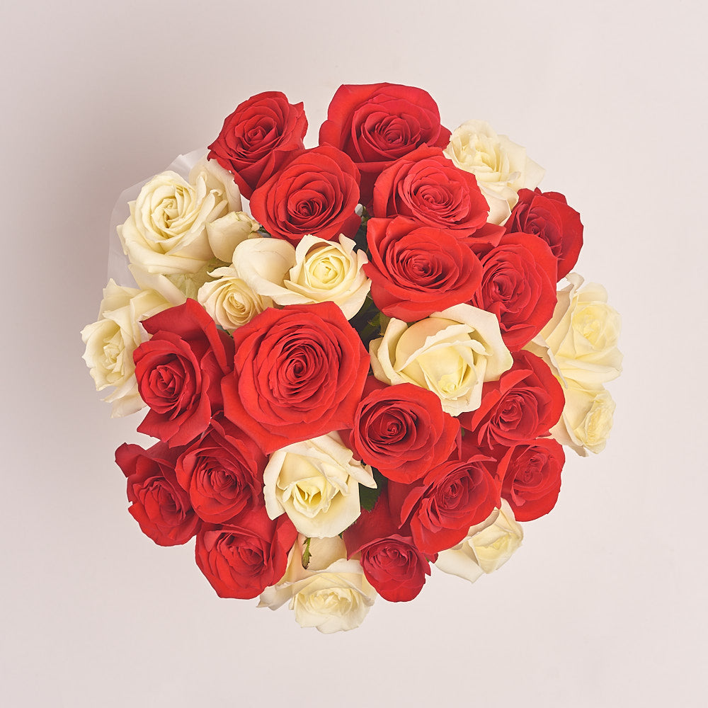 Box 31 Red and White Rose