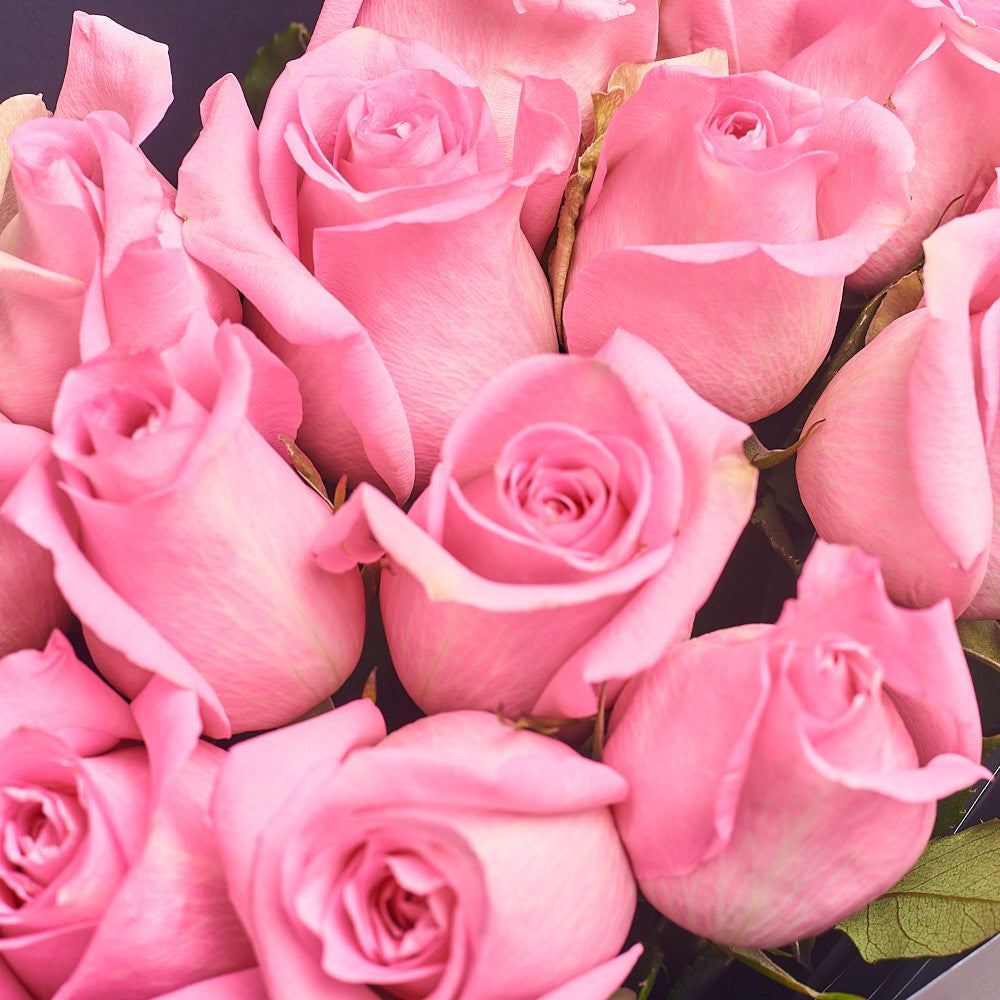 Bouquet of 15 Pink roses