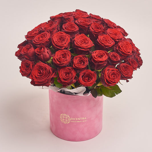 Box 51 Red Rose Extra