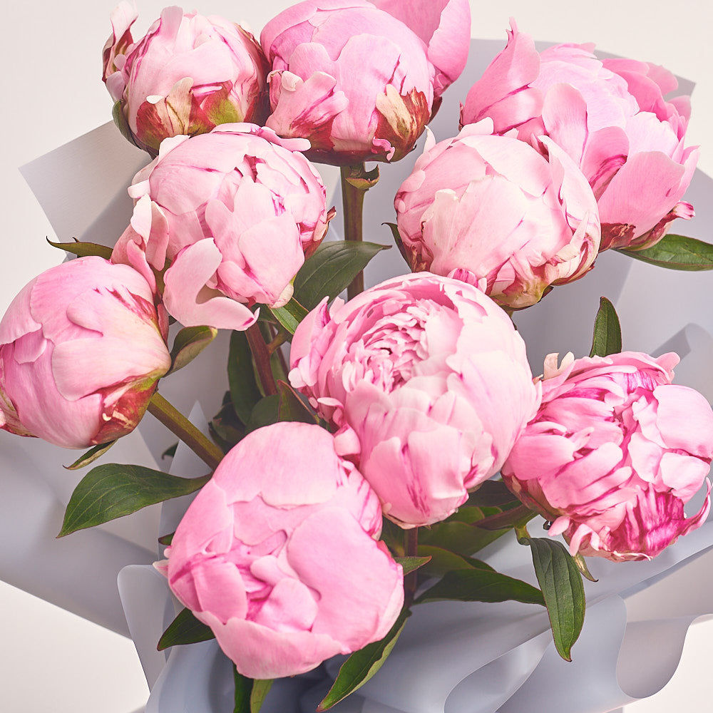 Bouquet of 9 Pink Peonies