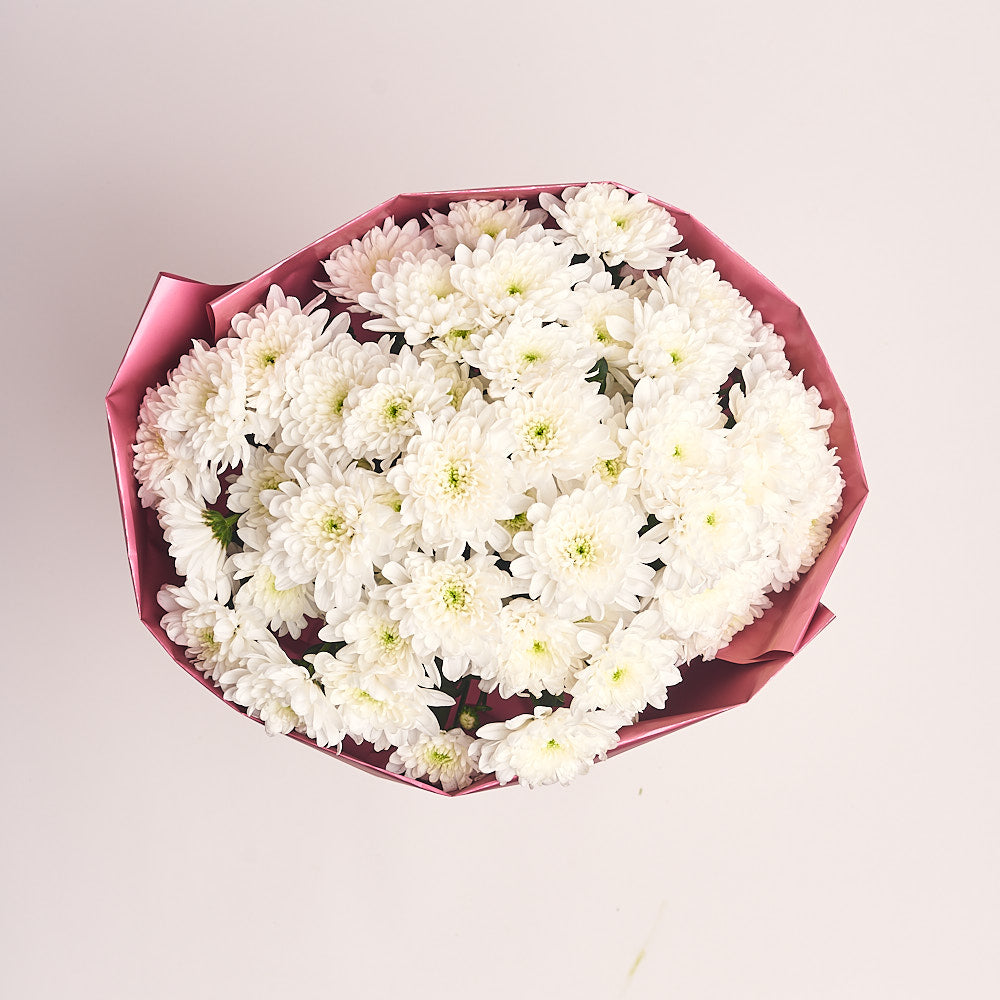 Bouquet of 11 White Chrysanthemums