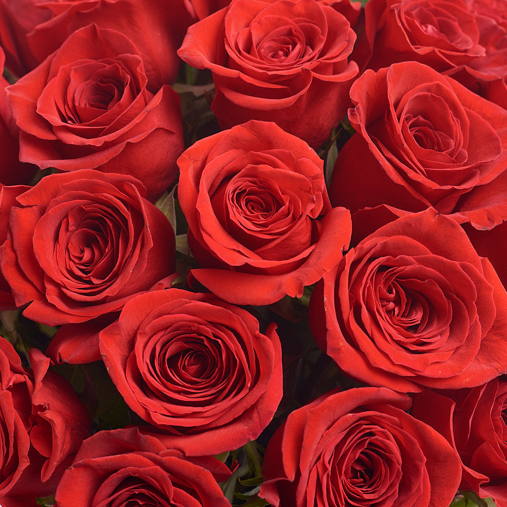 Box 51 Red Rose Grand Prix