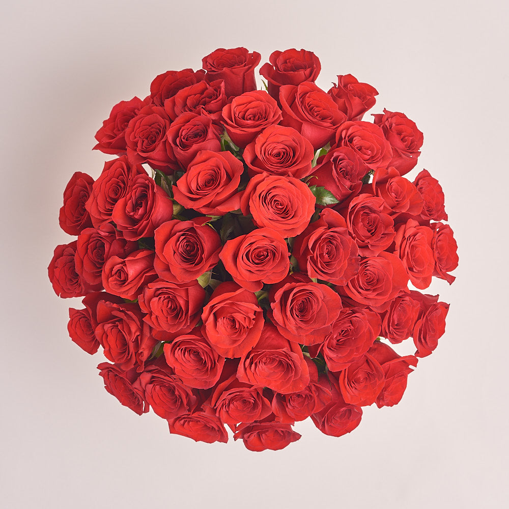 Box 51 Red Rose Grand Prix