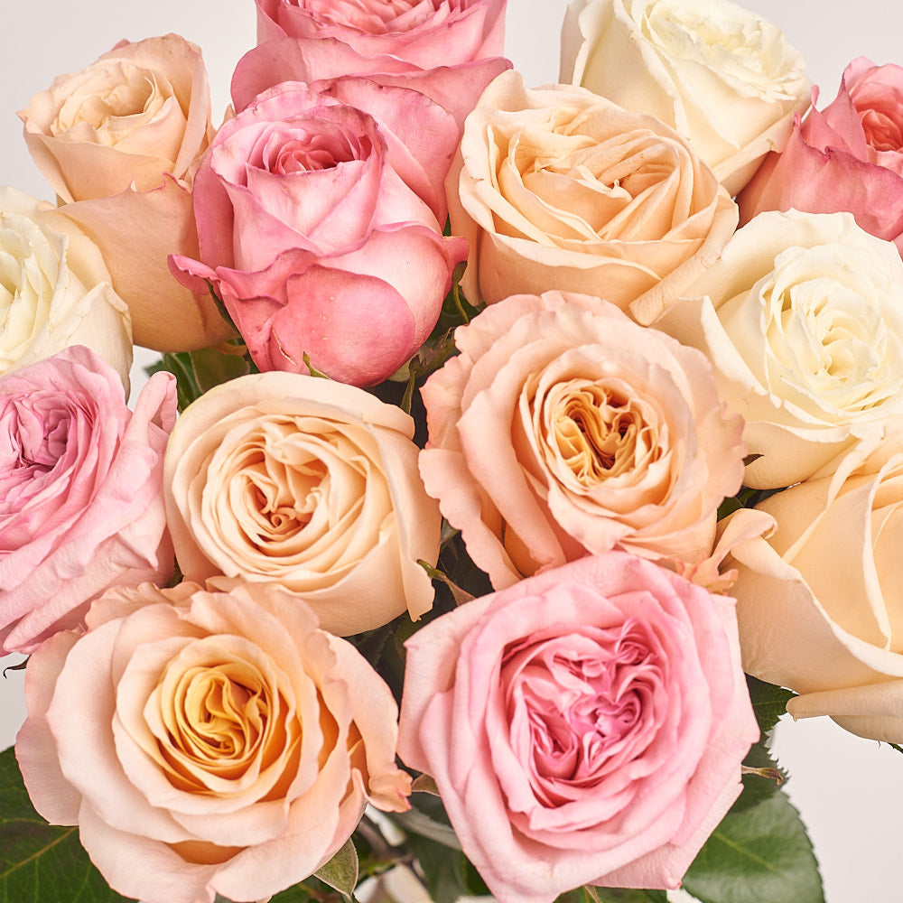 Bouquet of 15 pioneering Roses mix