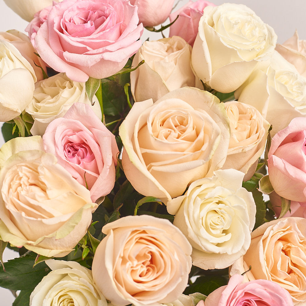 Bouquet of 25 pioneer Rose mix