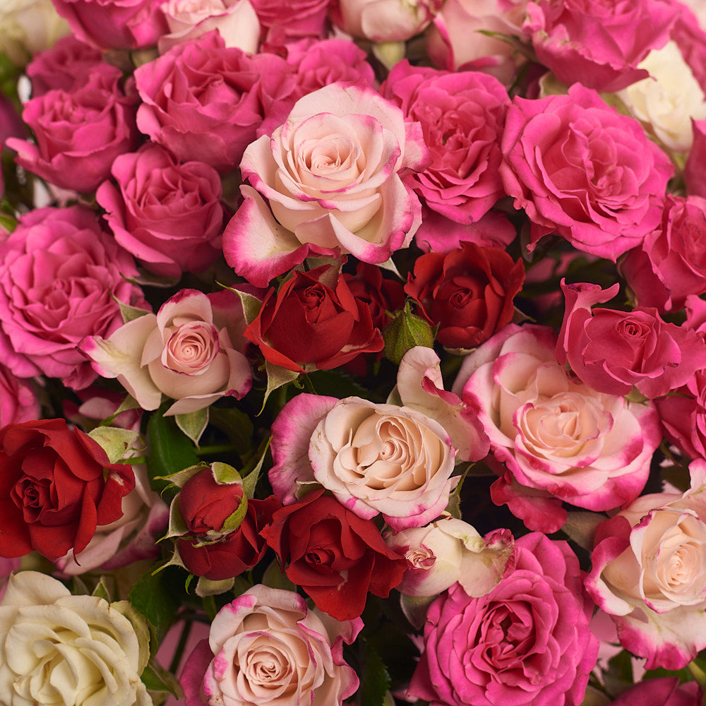 Box 15 Spray roses Mix