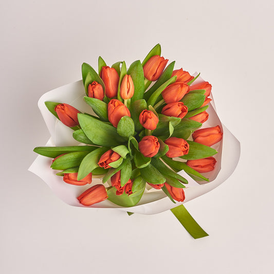 Bouquet of 25 Red tulips