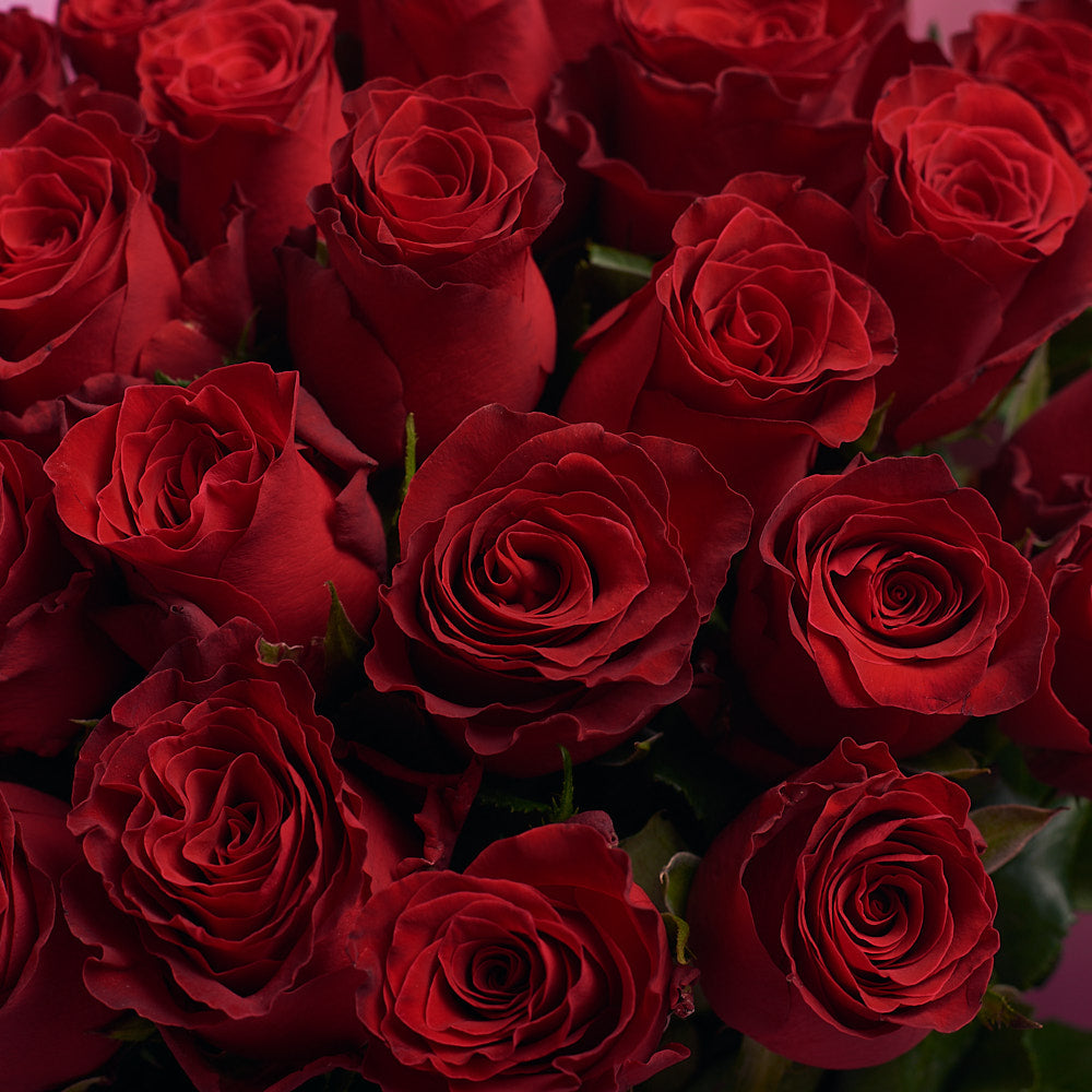 Bouquet of 25 Red roses Rhodes