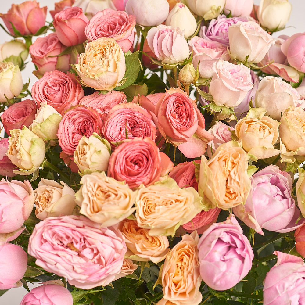 Bouquet 21 pioneer Rose Spray Mix