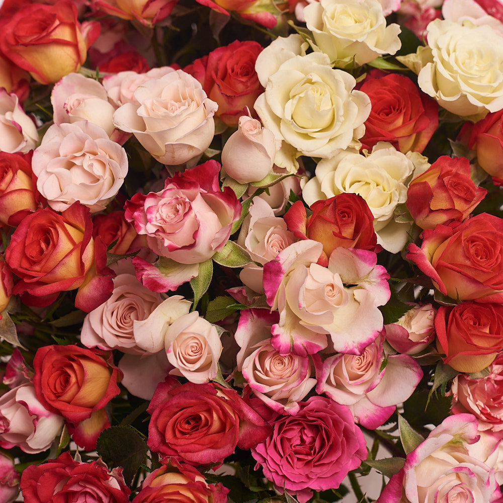 Box 25 Spray roses Mix