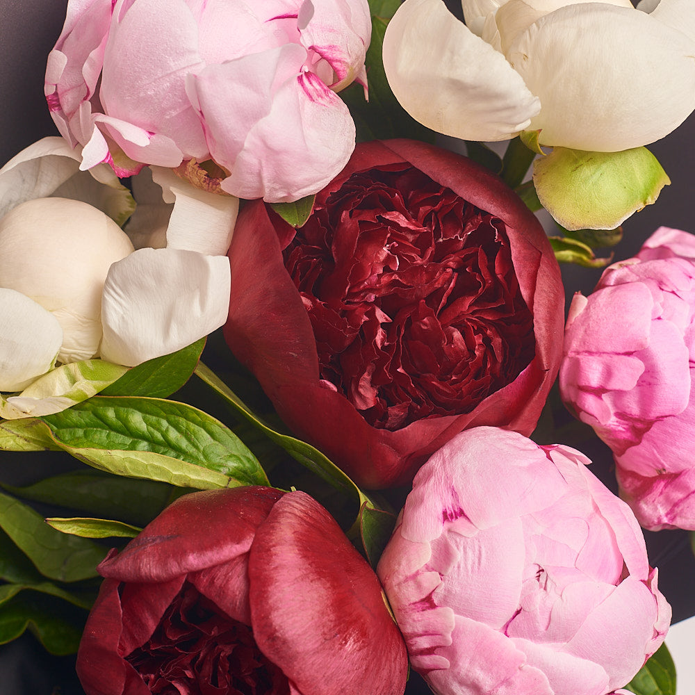 Bouquet 7 Peony Mix