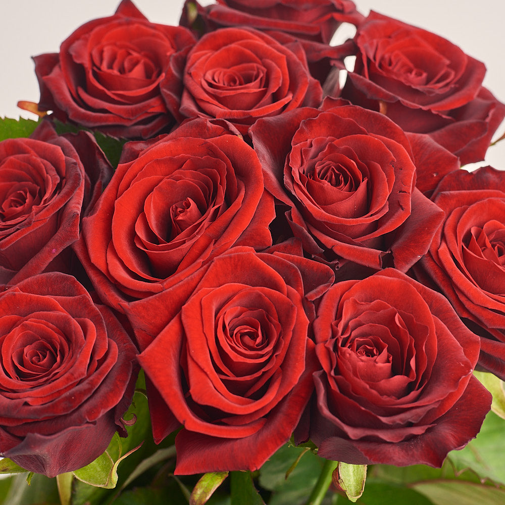 Bouquet of 11 Red Roses