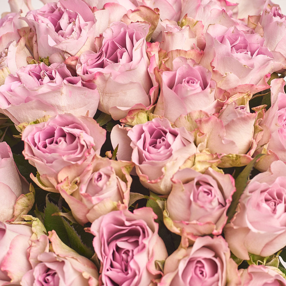 Bouquet 35 Rose Memorial Lane